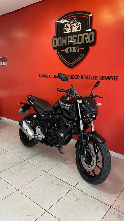 imagem moto YAMAHA FZ15 150 FAZER FLEX 2024