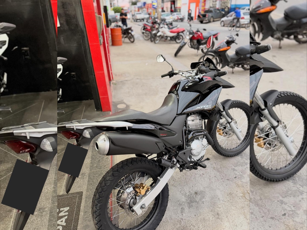 imagem moto HONDA XRE 300/ 300 ABS/ FLEX 2010