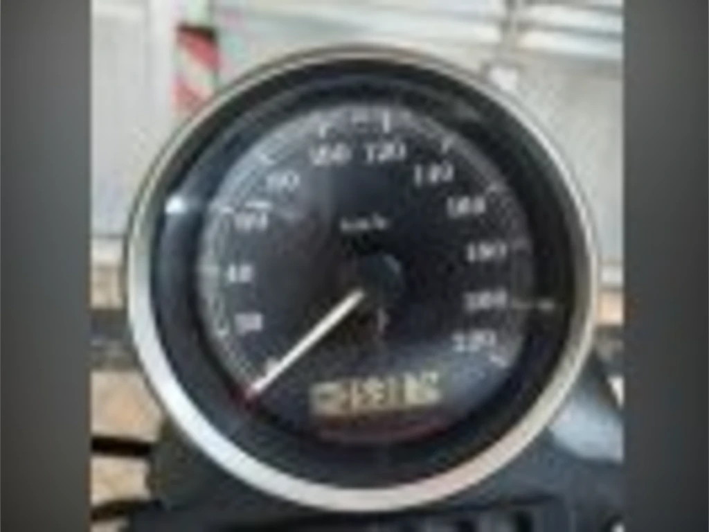 Miniatura da foto 4 - Harley-Davidson XL 883 R 2010