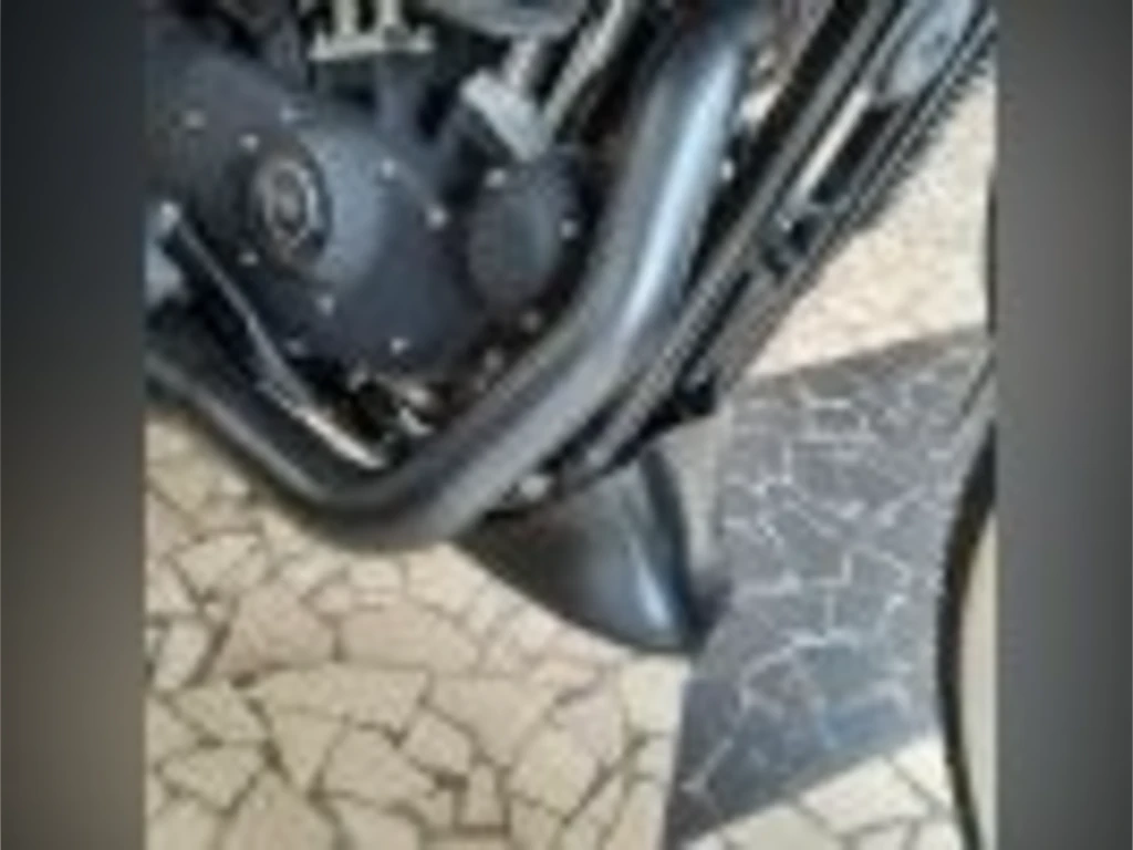Miniatura da foto 6 - Harley-Davidson XL 883 R 2010