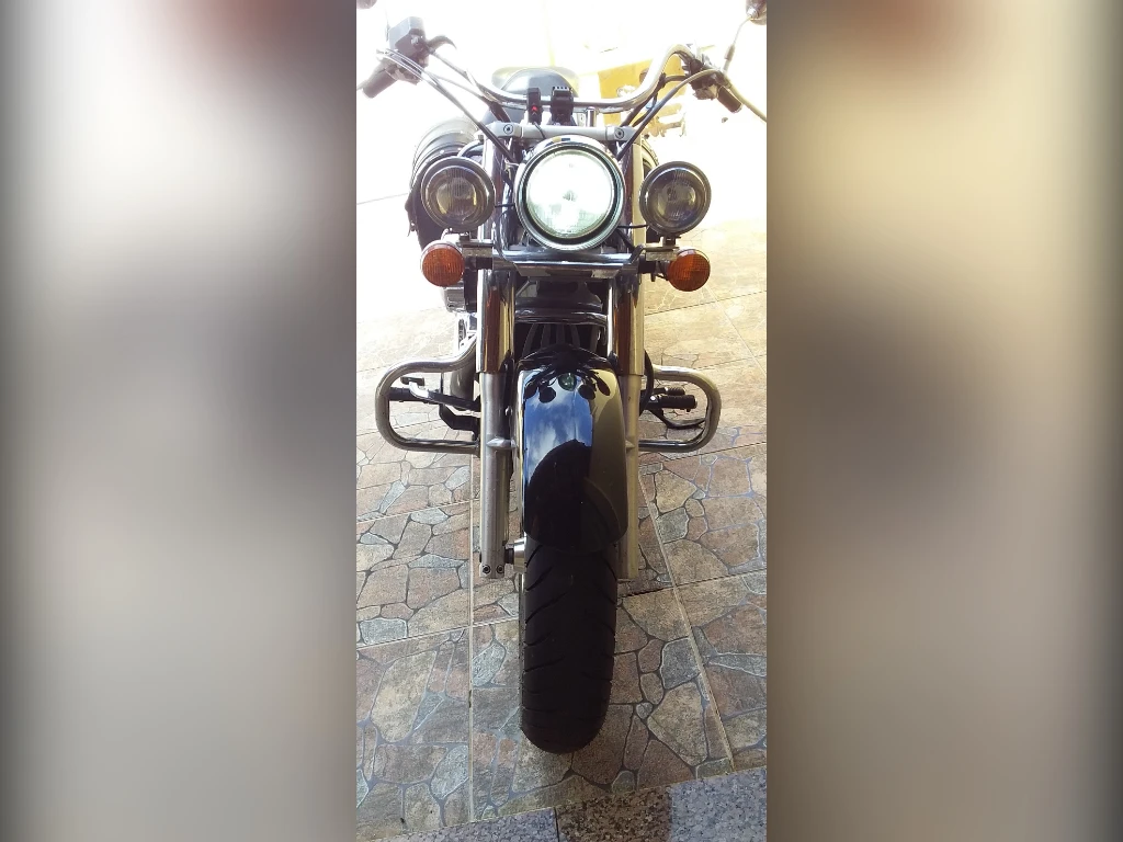 Honda VT 750 Shadow 2008 amarela à venda no Motonline - foto 6 de 12