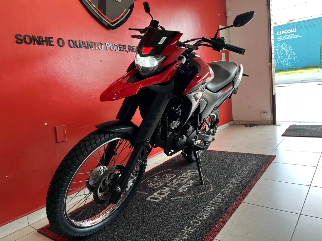 Yamaha XTZ 250 Lander 249cc/Lander Blueflex/ABS 2022 vermelha à venda no Motonline - foto 15 de 20