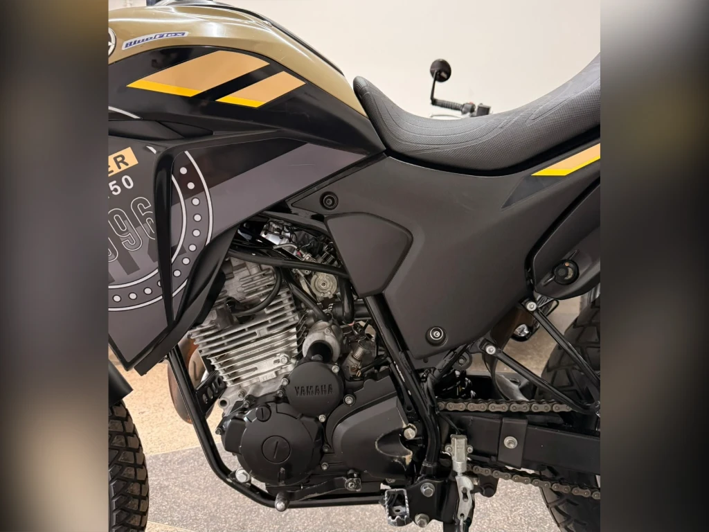 Miniatura da foto 13 - Yamaha XTZ 250 Lander 249cc/Lander Blueflex/ABS 2022