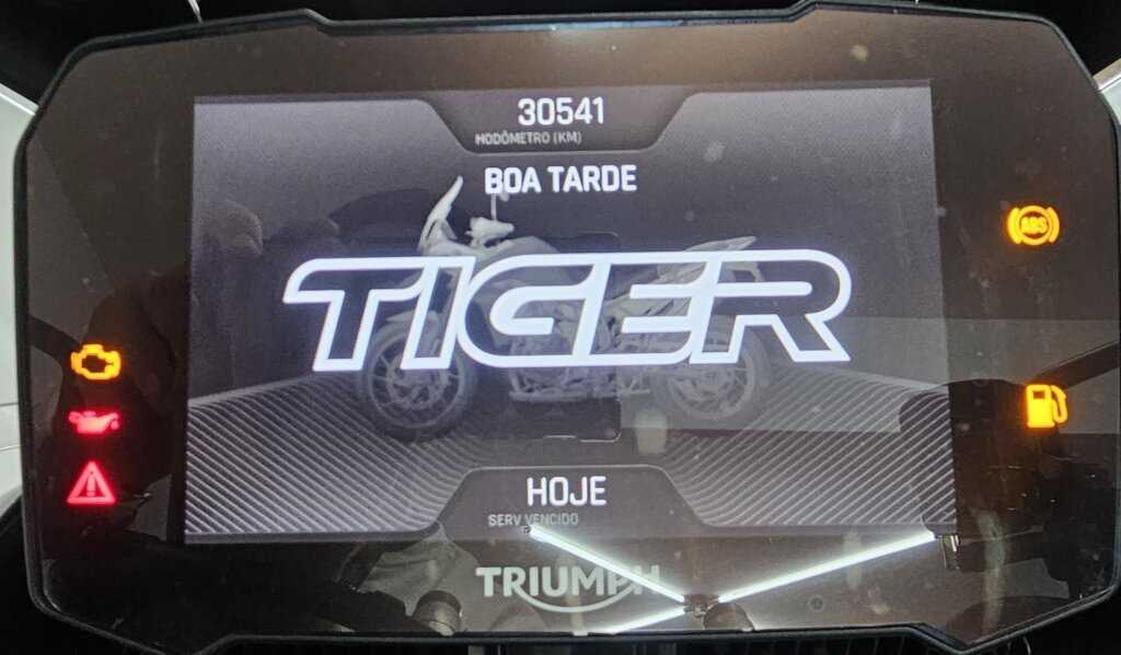 Imagem 6 - Triumph TIGER 900 RALLYP 2021