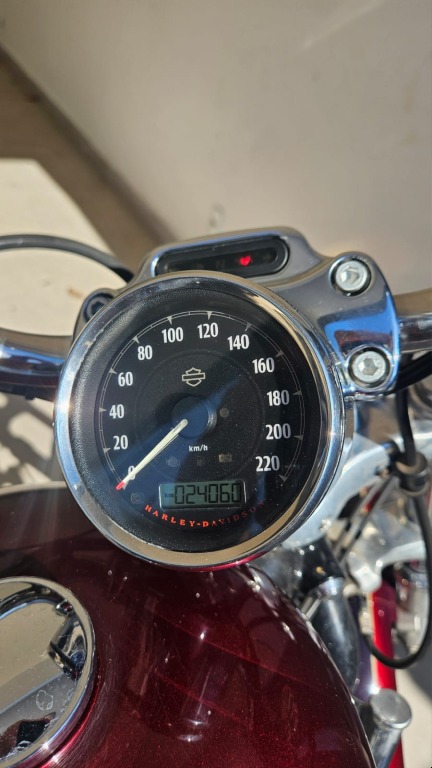 Foto HARLEY-DAVIDSON XL 1200 CUSTOM 2015