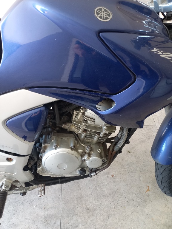 Foto YAMAHA YS 250 FAZER/ FAZER L. EDITION /BLUEFLEX 2008