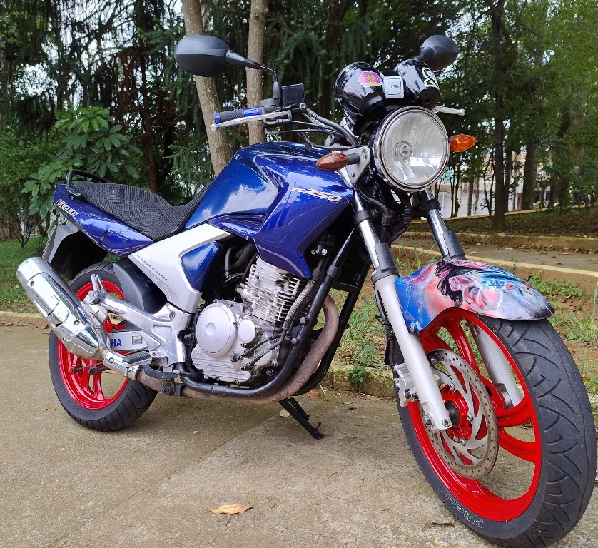 Foto YAMAHA YS 250 FAZER/ FAZER L. EDITION /BLUEFLEX 2008