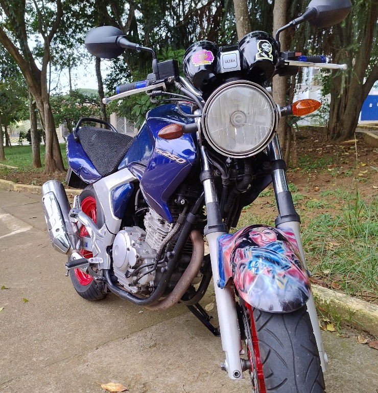 Foto YAMAHA YS 250 FAZER/ FAZER L. EDITION /BLUEFLEX 2008