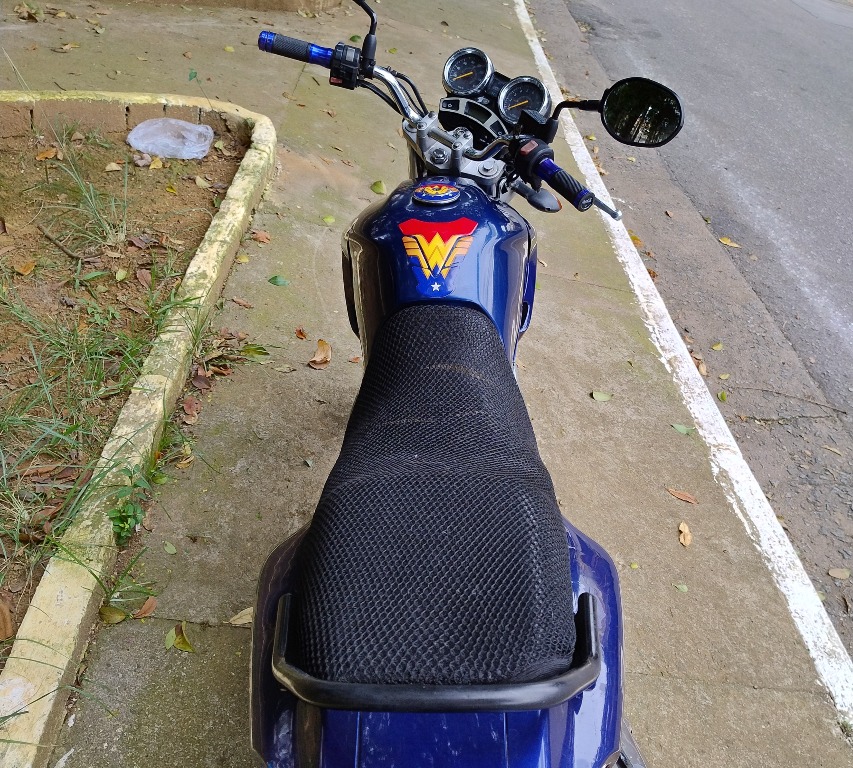 Foto YAMAHA YS 250 FAZER/ FAZER L. EDITION /BLUEFLEX 2008